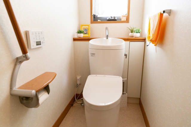 toilet.jpg